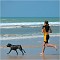 Son meilleur ami<br>Une femme avec son chien, à l'océan<br>A woman with her dog, by the ocean