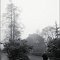 Jardin Public, Bordeaux, décembre 2009<br>brouillard fog  brume mist misty  arbre arbres tree trees morning matin park parc passant marchent herbe grass black and white noir et blanc pont bridge