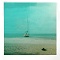 Une mouette sur la plage<br>Océan Atlantique, Lomo Chaika 3, fake Polaroid